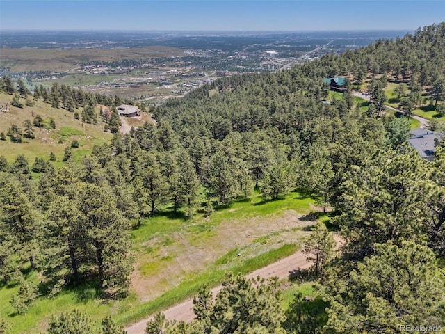 298 Parkview Ave, Golden, CO 80401 - photo 8