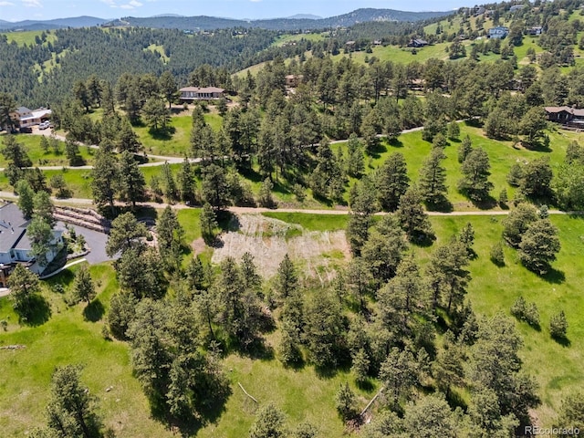 298 Parkview Ave, Golden, CO 80401 - photo 9