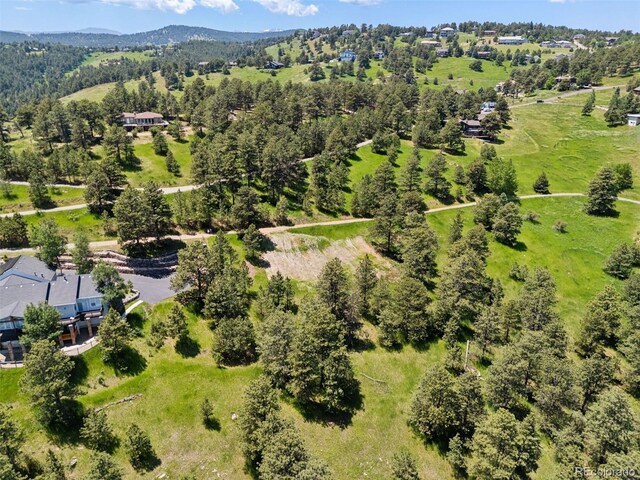 298 Parkview Ave, Golden, CO 80401 - photo 10