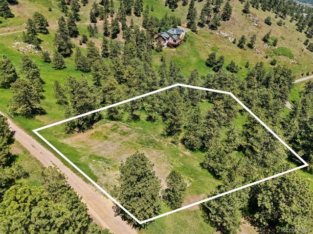 298 Parkview Ave, Golden, CO 80401 - photo 11