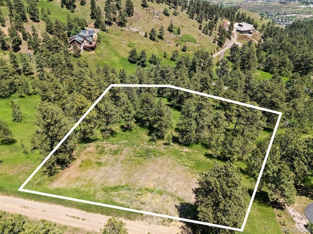298 Parkview Ave, Golden, CO 80401 - photo 12