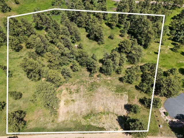 298 Parkview Ave, Golden, CO 80401 - photo 13