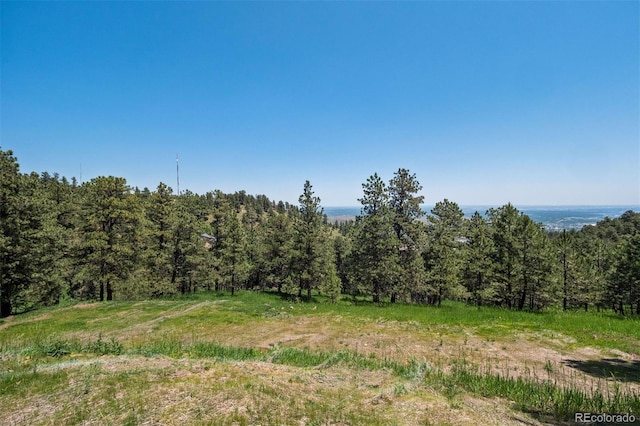 298 Parkview Ave, Golden, CO 80401 - photo 14