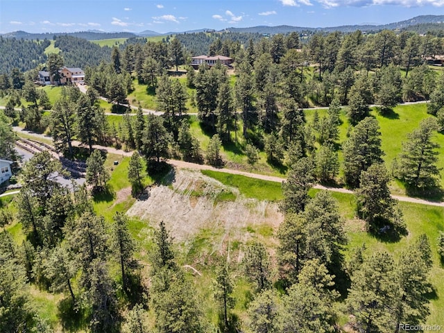 298 Parkview Ave, Golden, CO 80401 - photo 15