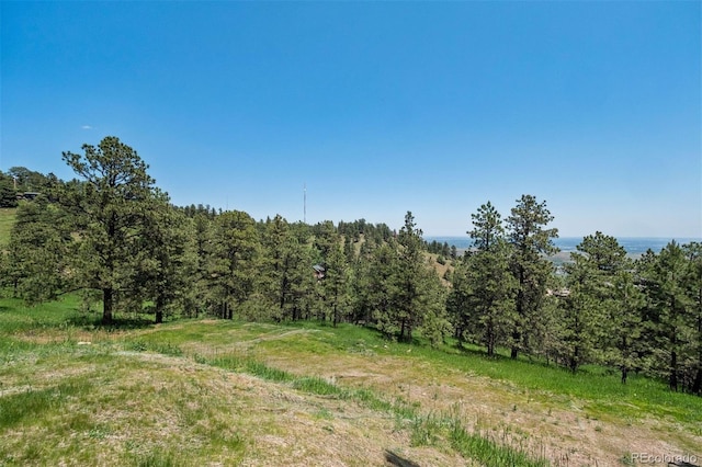 298 Parkview Ave, Golden, CO 80401 - photo 16