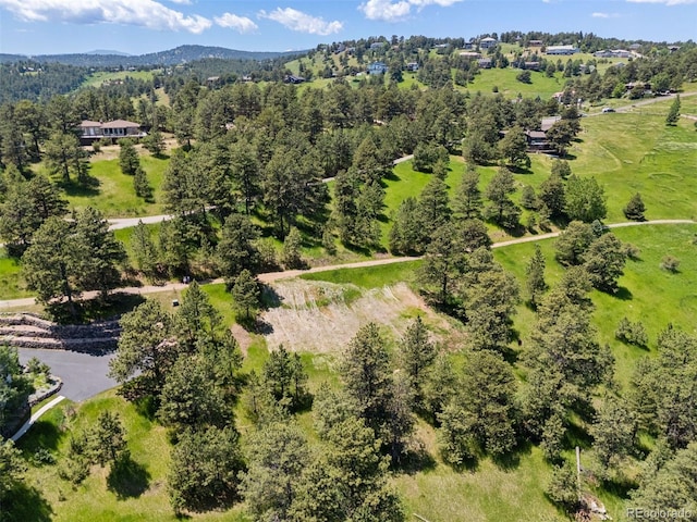298 Parkview Ave, Golden, CO 80401 - photo 17