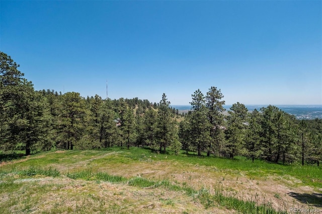 298 Parkview Ave, Golden, CO 80401 - photo 18