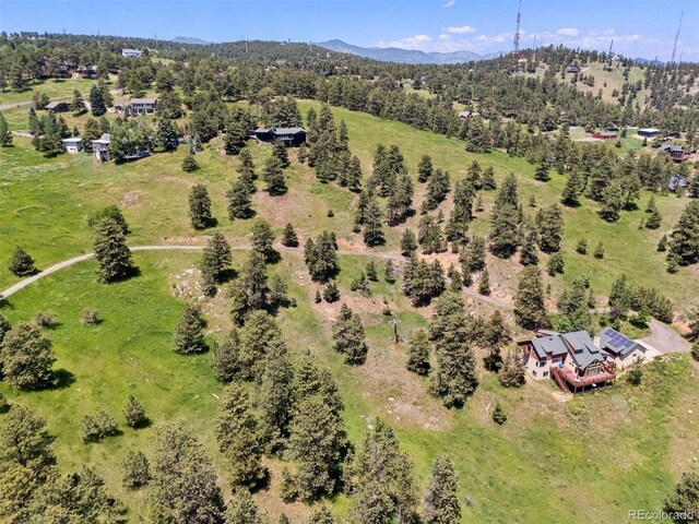 298 Parkview Ave, Golden, CO 80401 - photo 19