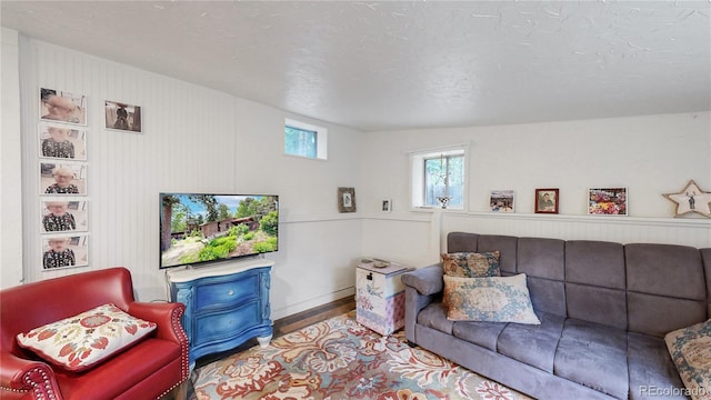 10993 Barker Ave, Conifer, CO 80433 - living room featuring wood finished floors