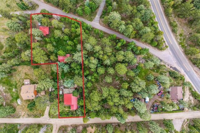 10993 Barker Ave, Conifer, CO 80433 - view of property location featuring property parcel outlined