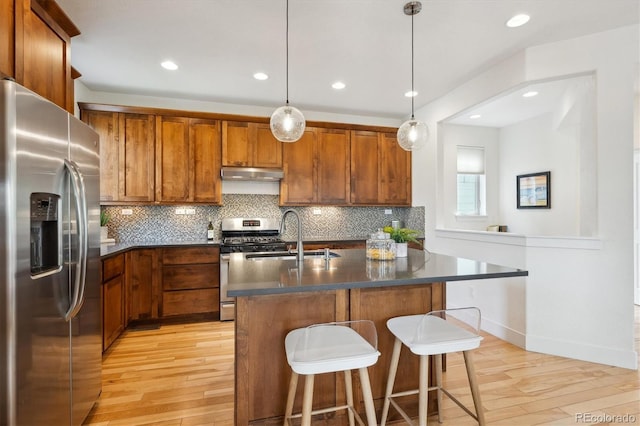 kitchen featuring light wood-style flooring, under cabinet range hood, a sink, dark countertops, and appliances with stainless steel finishes
