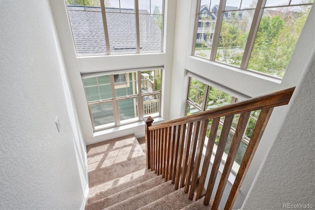 stairway with a textured wall, carpet floors, and a high ceiling