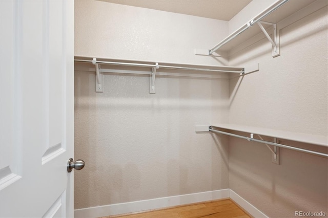 walk in closet with light wood-style floors