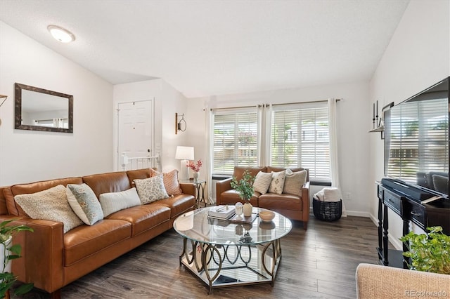 700 Prairie Ridge Rd, Highlands Ranch, CO 80126 - living area featuring lofted ceiling and dark wood-style floors