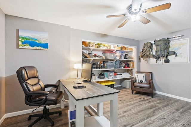 700 Prairie Ridge Rd, Highlands Ranch, CO 80126 - office featuring wood finished floors and a ceiling fan
