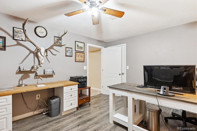 700 Prairie Ridge Rd, Highlands Ranch, CO 80126 - office area featuring light wood-type flooring and a ceiling fan