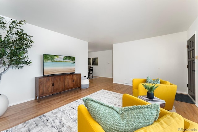 living room featuring wood-type flooring