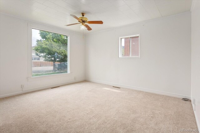 135 Park Ave, Salida, CO 81201 - photo 17