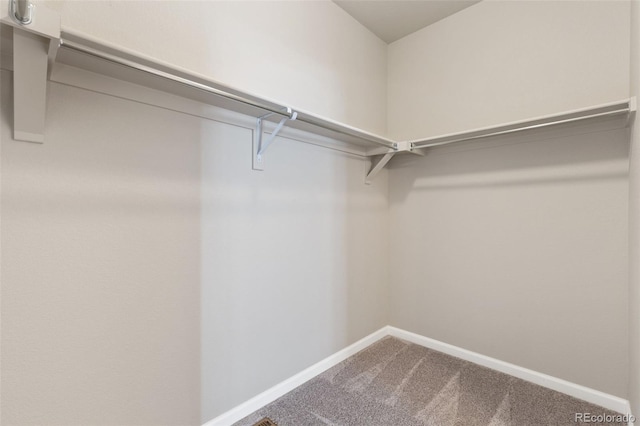113 Marlowe Dr, Erie, CO 80516 - spacious closet featuring carpet floors
