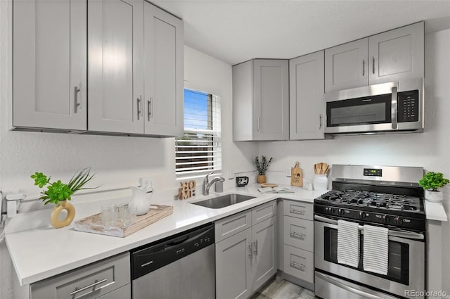 1414 W Nevada Pl, Denver, CO 80223 - kitchen with stainless steel appliances, gray cabinetry, a sink, and light countertops