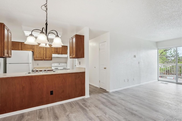 kitchen with white appliances, under cabinet range hood, light wood-style flooring, a sink, and brown cabinetry
