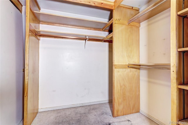 spacious closet featuring light carpet