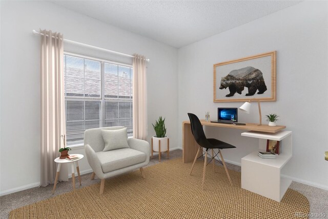 7453 Singing Hills Dr Unit E105, Boulder, CO 80301 - office space with light carpet, baseboards, and a textured ceiling