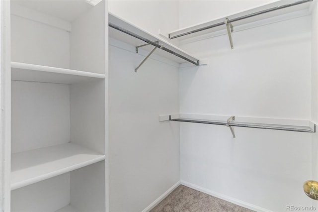7453 Singing Hills Dr Unit E105, Boulder, CO 80301 - walk in closet with carpet flooring