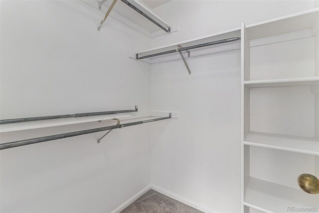 7453 Singing Hills Dr Unit E105, Boulder, CO 80301 - walk in closet with carpet floors