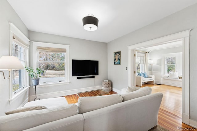 living room with wood-type flooring and plenty of natural light