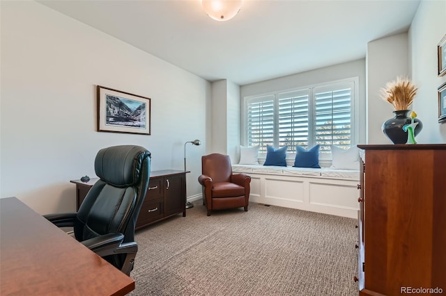 15102 Prairie Pl, Broomfield, CO 80023 - photo 20
