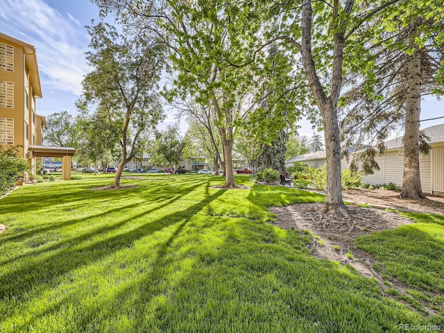 750 S Clinton St Unit 2C, Denver, CO 80247 - view of grassy yard