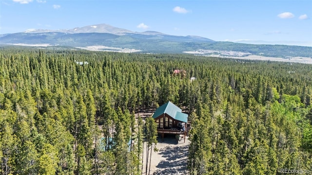 889 Venture Rd, Fairplay, CO 80440 - photo 21