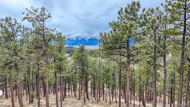 LOT43 S Ben Eaton, Westcliffe, CO 81252 - photo 1