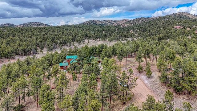 LOT43 S Ben Eaton, Westcliffe, CO 81252 - photo 2