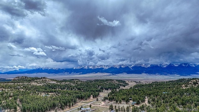 LOT43 S Ben Eaton, Westcliffe, CO 81252 - photo 4