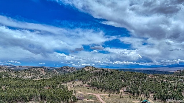 LOT43 S Ben Eaton, Westcliffe, CO 81252 - photo 5