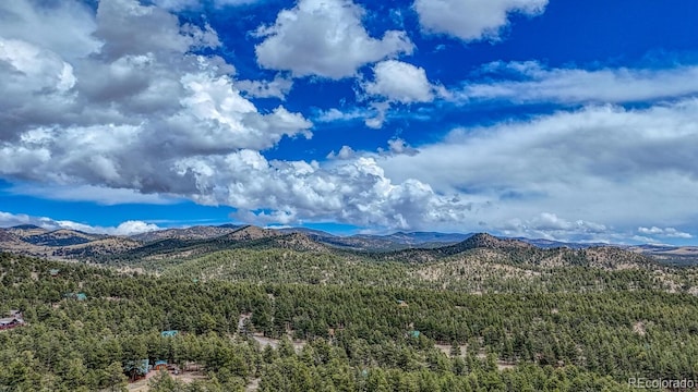 LOT43 S Ben Eaton, Westcliffe, CO 81252 - photo 6