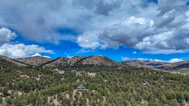 LOT43 S Ben Eaton, Westcliffe, CO 81252 - photo 7