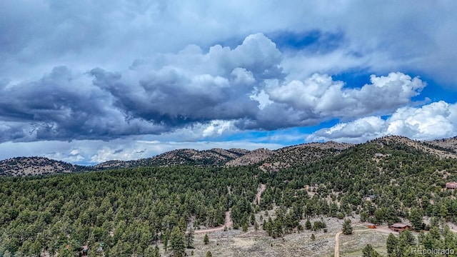 LOT43 S Ben Eaton, Westcliffe, CO 81252 - photo 8