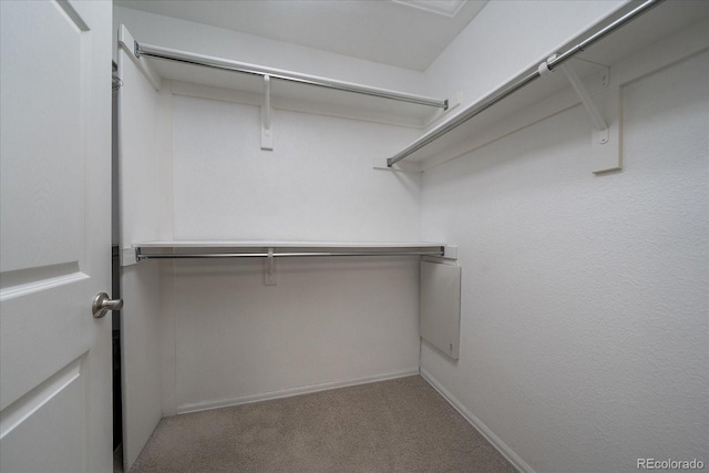 walk in closet featuring carpet flooring