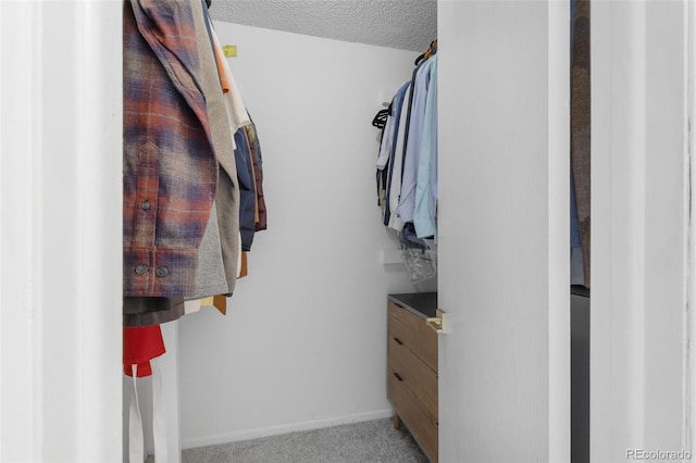 walk in closet featuring carpet