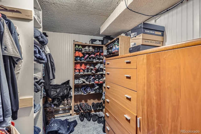 spacious closet featuring carpet