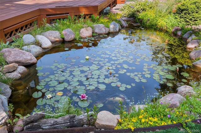 11932 W 56th Cir, Arvada, CO 80002 - exterior view of a garden pond