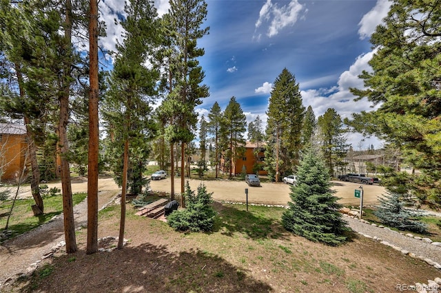 466 Hi Country Dr Unit 109, Winter Park, CO 80482 - view of yard