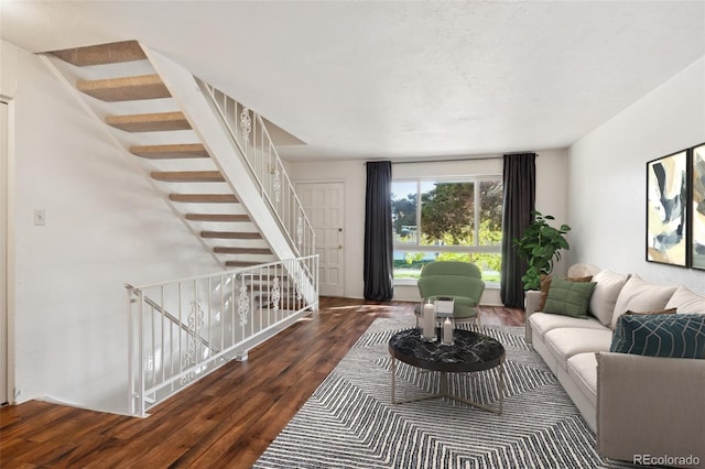 living room featuring dark wood-type flooring