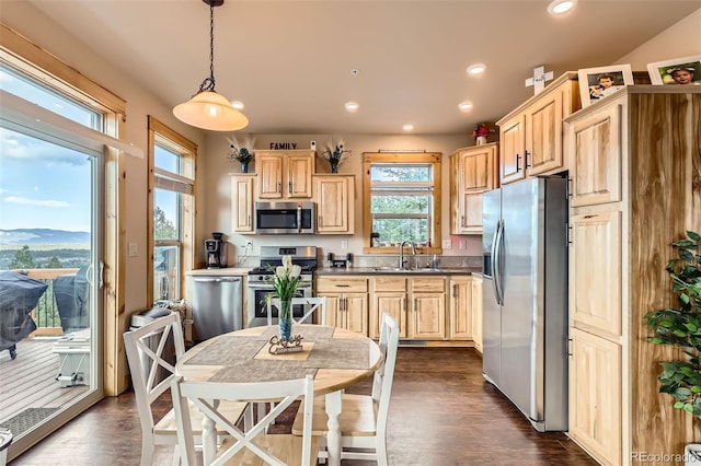 72 Hilltop Dr, Bailey, CO 80421 - kitchen with appliances with stainless steel finishes, light brown cabinets, plenty of natural light, recessed lighting, and dark wood-style flooring