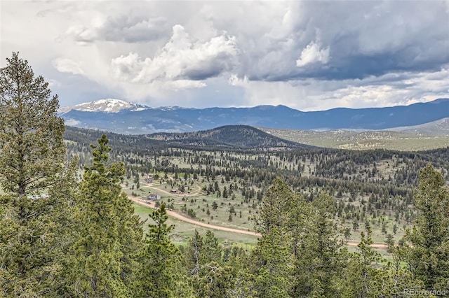 72 Hilltop Dr, Bailey, CO 80421 - view of mountain background featuring a heavily wooded area