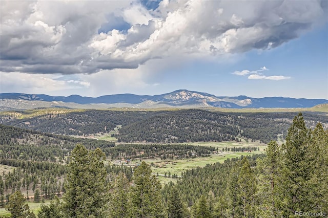 72 Hilltop Dr, Bailey, CO 80421 - mountain view with a heavily wooded area