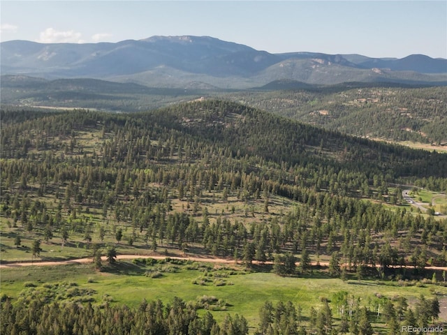 72 Hilltop Dr, Bailey, CO 80421 - view of mountain background with a forest
